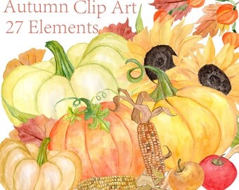 Watercolor pumpkin clipart: "AUTUMN CLIPART" Fall clipart Harvest clipart Autumn Leaves Sunflower clipart Thanksgiving clipart DIY clipart