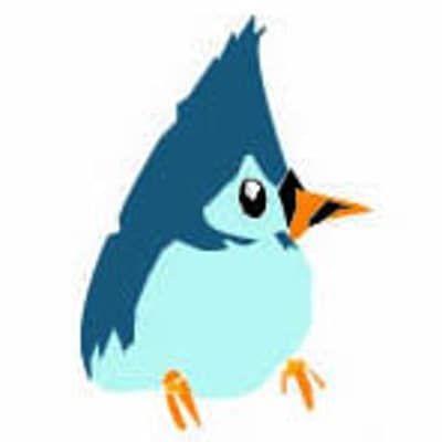 Baby Bird Designs