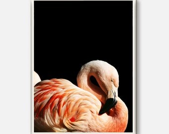 Flamingo, Flamingo Print, Tropical Wall Art, Pink Flamingo, Printable Flamingo, Tropical Poster, Beach Decor, Beach Art, Flamingo Photo