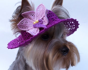 Hat for dog "Orchid", Dog Sun Hats, Party Hats For Dogs, Crochet Hat For Dog, Dog Beanies, Hats For Dogs To Wear, Doggy Hats, Knit Dog Hat
