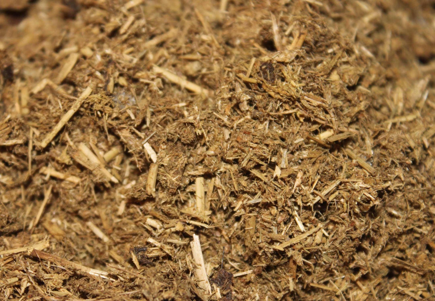 3 Pack Bags Of Horse Manure Tea Base Organic by MaiasMiracle