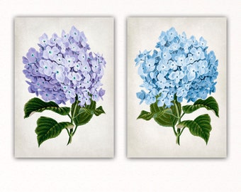 Items similar to Vintage Style Pink Botanicals Print Hydrangea Flower