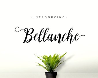 Font Digital- fonts- Font download- Calligraphy font- Handwritten font- script font- Wedding font- Instant download- script font download