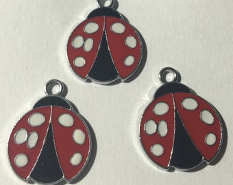 Ladybug Charms
