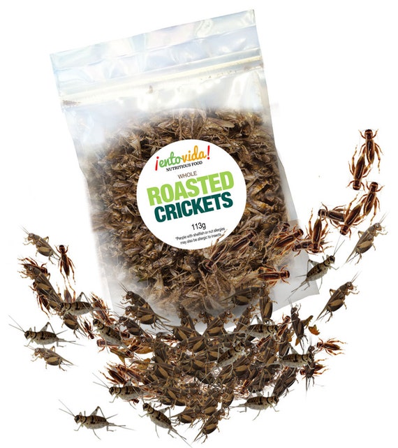 Edible Insects Whole Roasted Crickets