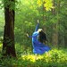 Persephone Dhem