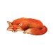 Aubergine Fox
