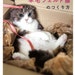 I love to make them mine NEEDLE Felt Realistic CATS - Japanese Craft Book MM