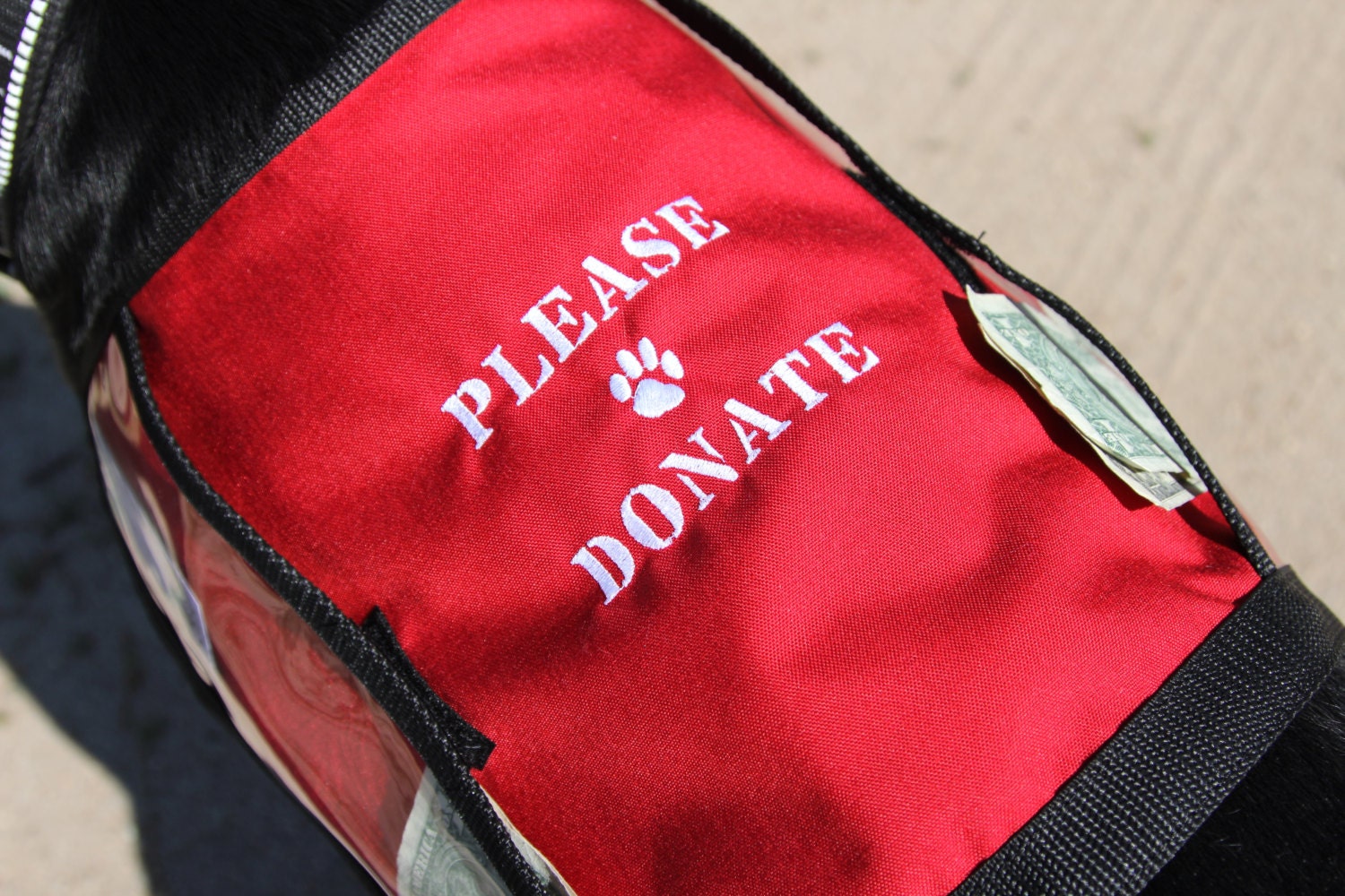 PLEASE DONATE Fundraising Dog Vest with large clear pockets