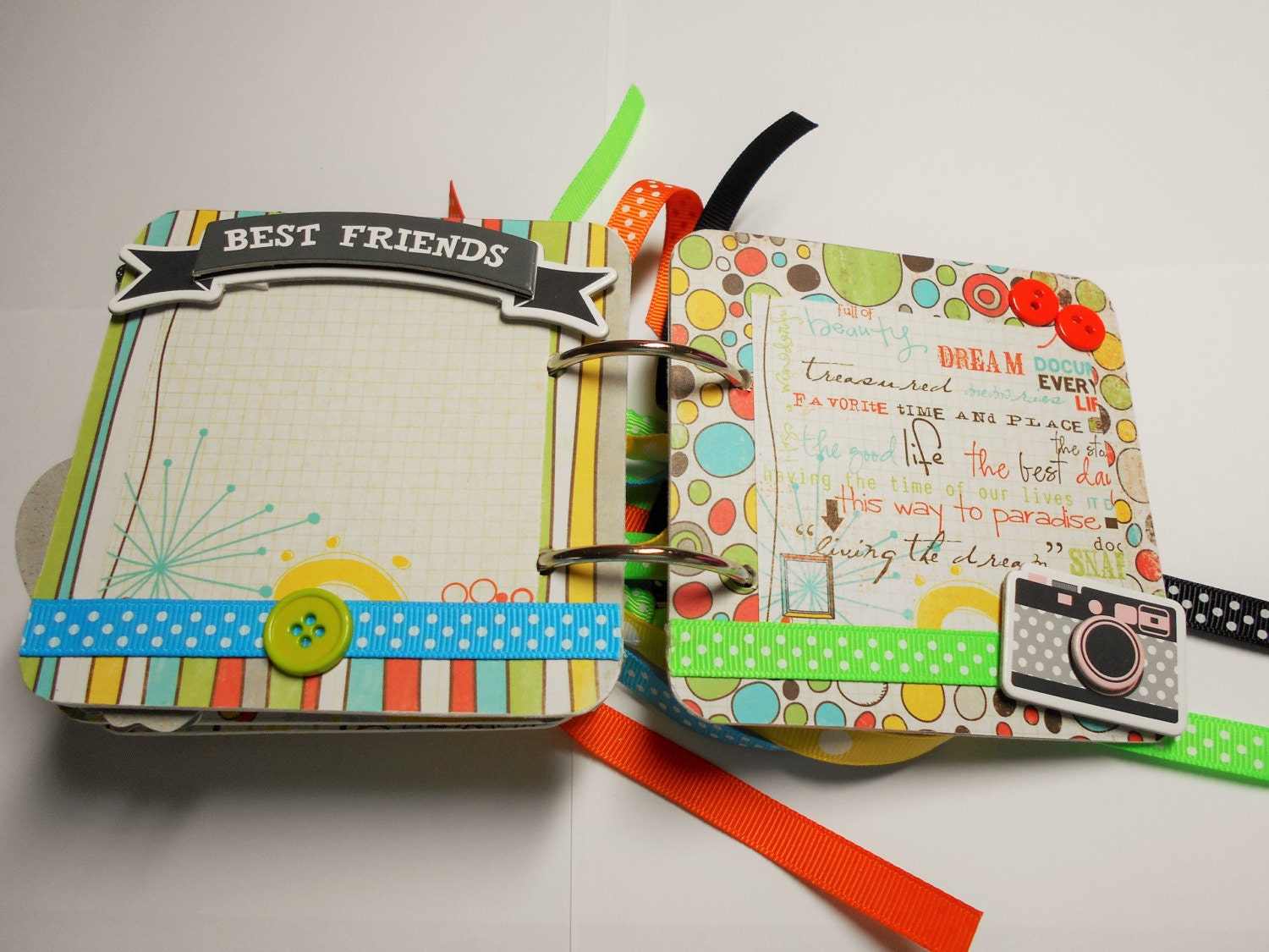 Friends Mini Album, Premade Mini Album, Friends Scrapbook, Friends Brag