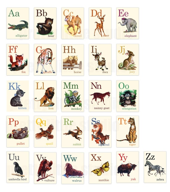 Wild Animals Alphabet Set 1218536 Vector Art At Vecte - vrogue.co