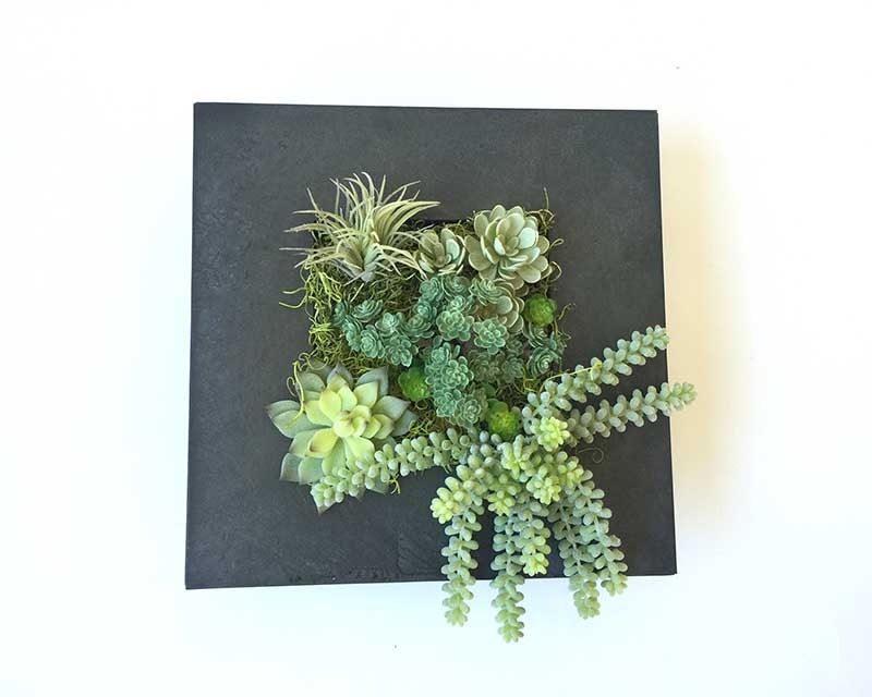 Succulent wall planter hanging succulent arrangement faux