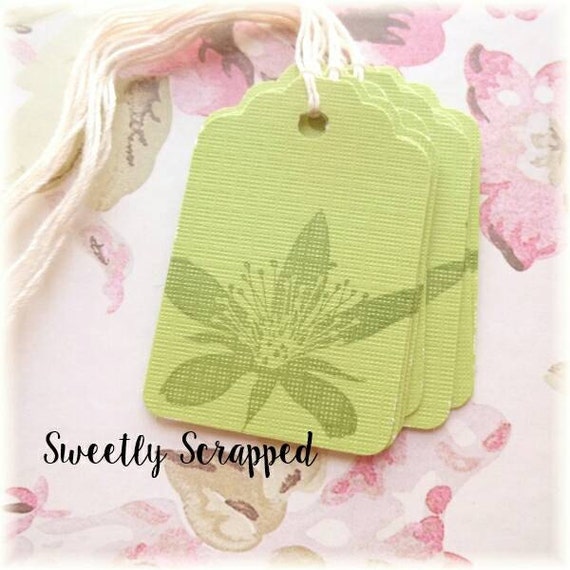 Botanical Green Flower Tags ... Nature, Forest, Plant, Natural, Hibiscus, Hawaii, Beach, Orchid