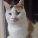 livilou83