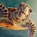 Julie Leiman Weaver