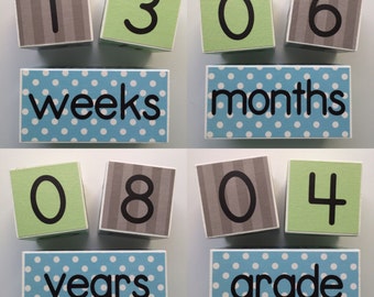 Baby Age Blocks Monthly Blocks Baby Boy Girl Baby Shower Gift Newborn Photo Prop Age Cubes Photography Nursery Babies Custom Personalized