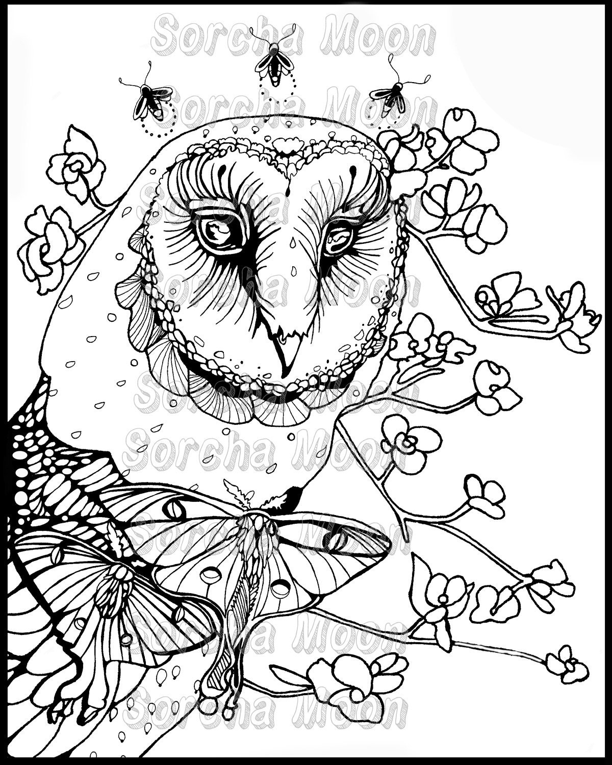 Owl Moon Pilgrim Coloring Page for Adults