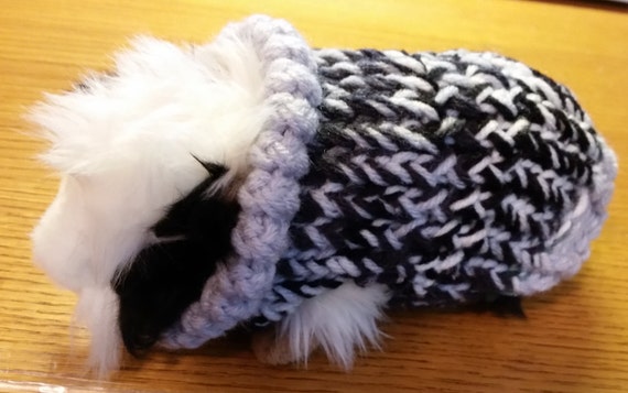 Guinea Pig Sweater Double Knit in Zebra Pattern