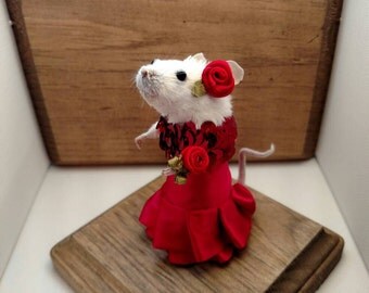 Taxidermy Mouse Tango Tara