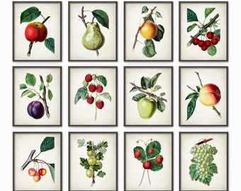 Watercolor Fruit And Vegetables Wall Art Print by QuantumPrints
