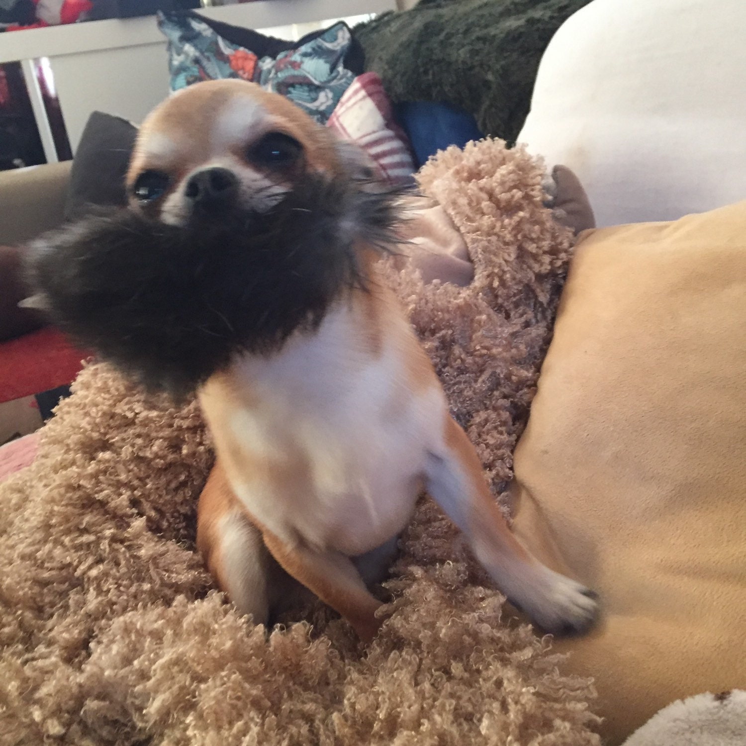 Rabbit Fur Mouse Shaped Dog Toy with Squeaker