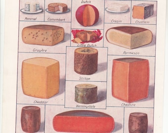 C1920s Color Print Of A Variety Of Cheeses 8" X 10 3/4"