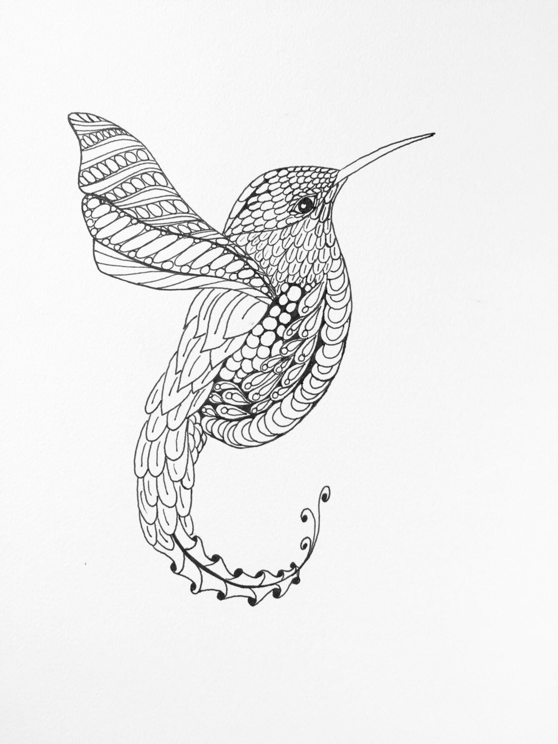 Zentangle Hummingbird Wall Art Hummingbird drawing