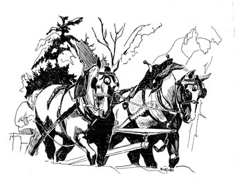 Gypsy Vanner Horse black and white can be printed for use on