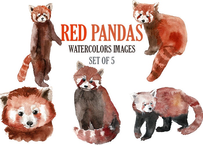 clipart red panda - photo #50