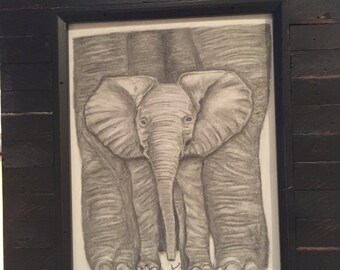 Elephant baby