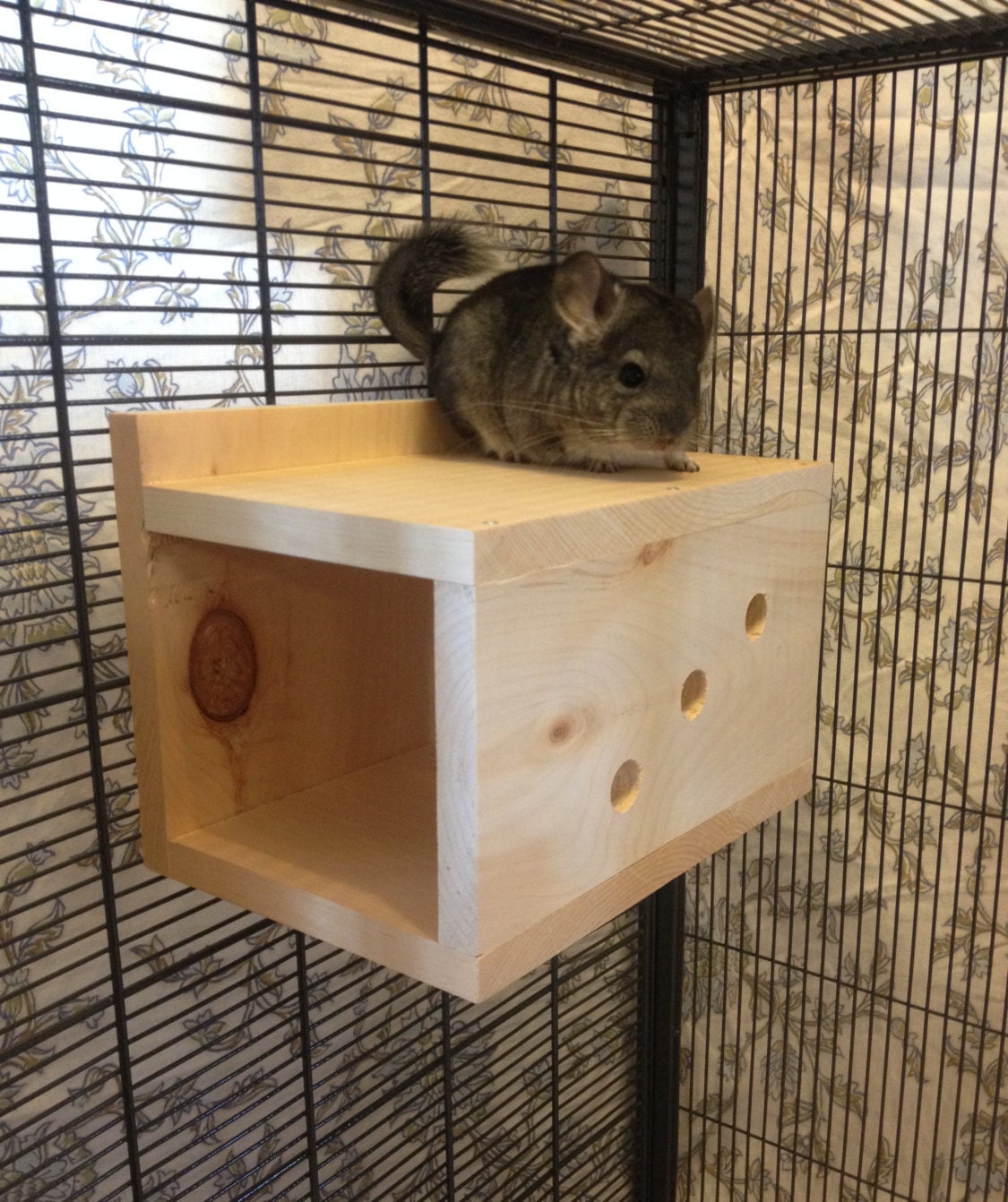 Kiln Dried Pine Chinchilla Wood PEEK A BOO Tunnel with poop