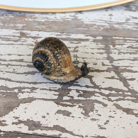 porcelain snail