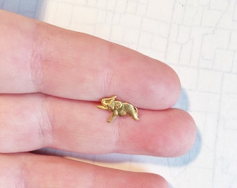 Tiny Brass Elephant Surgical Steel Stud Earring. Perfect for Helix and Cartilage Piercings.