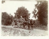 1800s Antique Photo "The Working Farm" Horse Wagon Old Glass Plate Photograph Found Photo Paper Ephemera Vernacular Photography Collectible