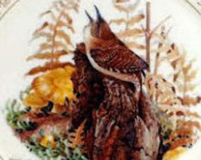 Gorham China House Wren Bird Plate Don Whitlatch - Nature Portraits of America - Limited Edition - Bone China