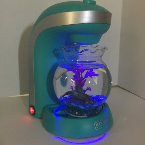 Aquarium Upcycled Coffee Maker Handmade by TreasurePickedForYou
