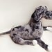 great dane teddy bear