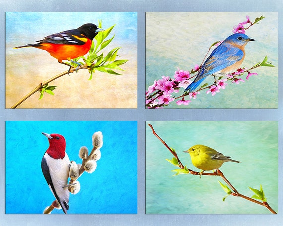 Bird Art Prints Set of Four 5x7 Prints with Mats Bird