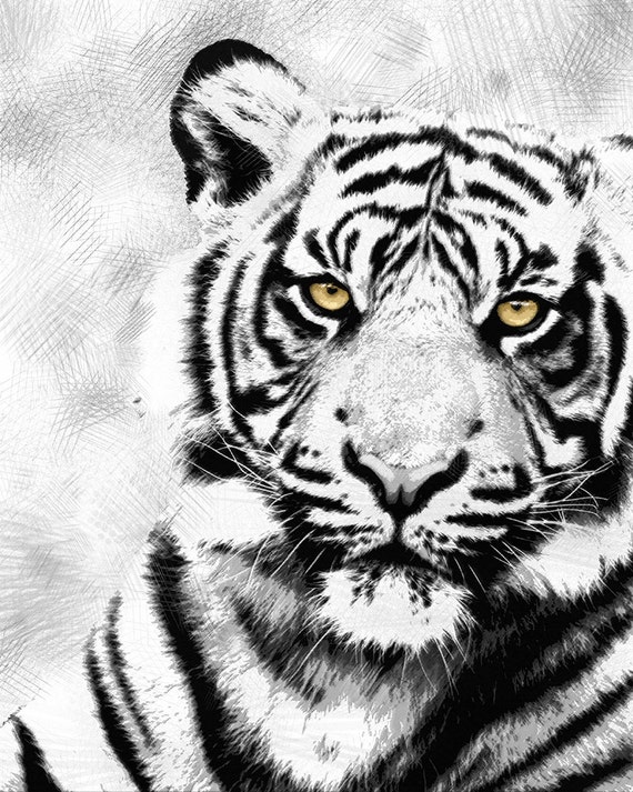 Black & White Tiger Print Printable wall art decor by NTstudio