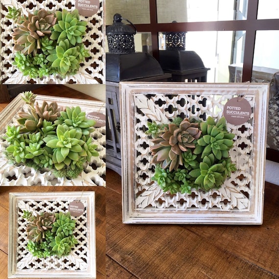 Items similar to Vertical Succulent Frame on Etsy