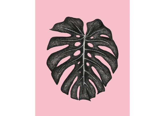 Monstera deliciosa illustration // A5 5.8 x 8.3