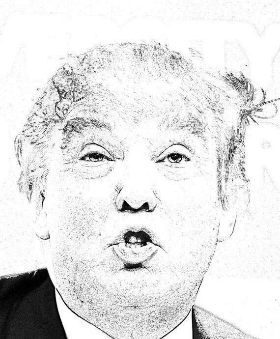 The Donald Trump Coloring Book The Adult Coloring Book that