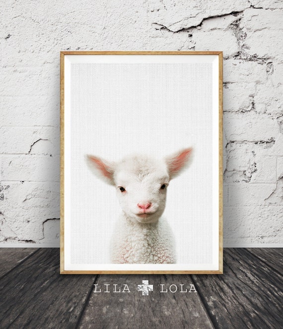 Nursery Decor Lamb Print Nursery Wall Art Cute Baby Lamb