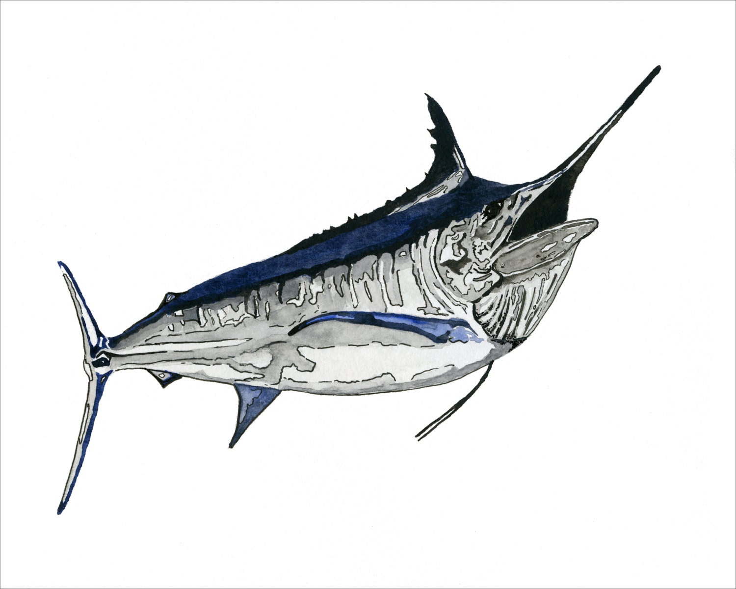 Black Marlin Watercolor Print