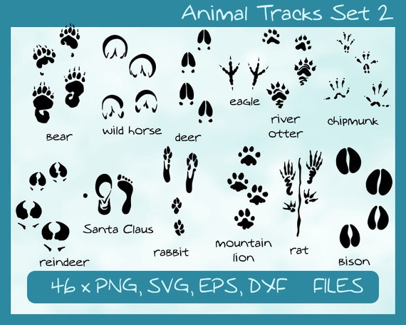 Download Animal Tracks Set 2 12 different animals 46 footprints