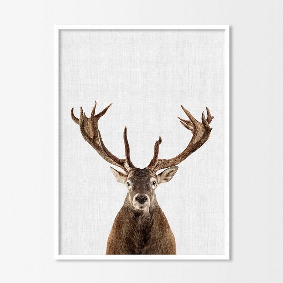 Deer Print Deer Antlers Woodlands Decor by ChicScandinavian