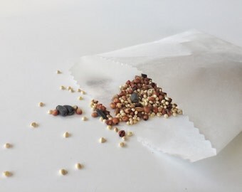 shell free bird seed shell free bird seed