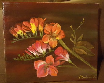 Freesia