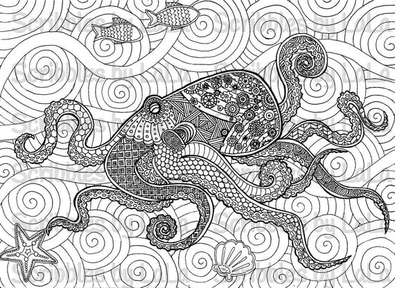 Adult Coloring Book Octopus