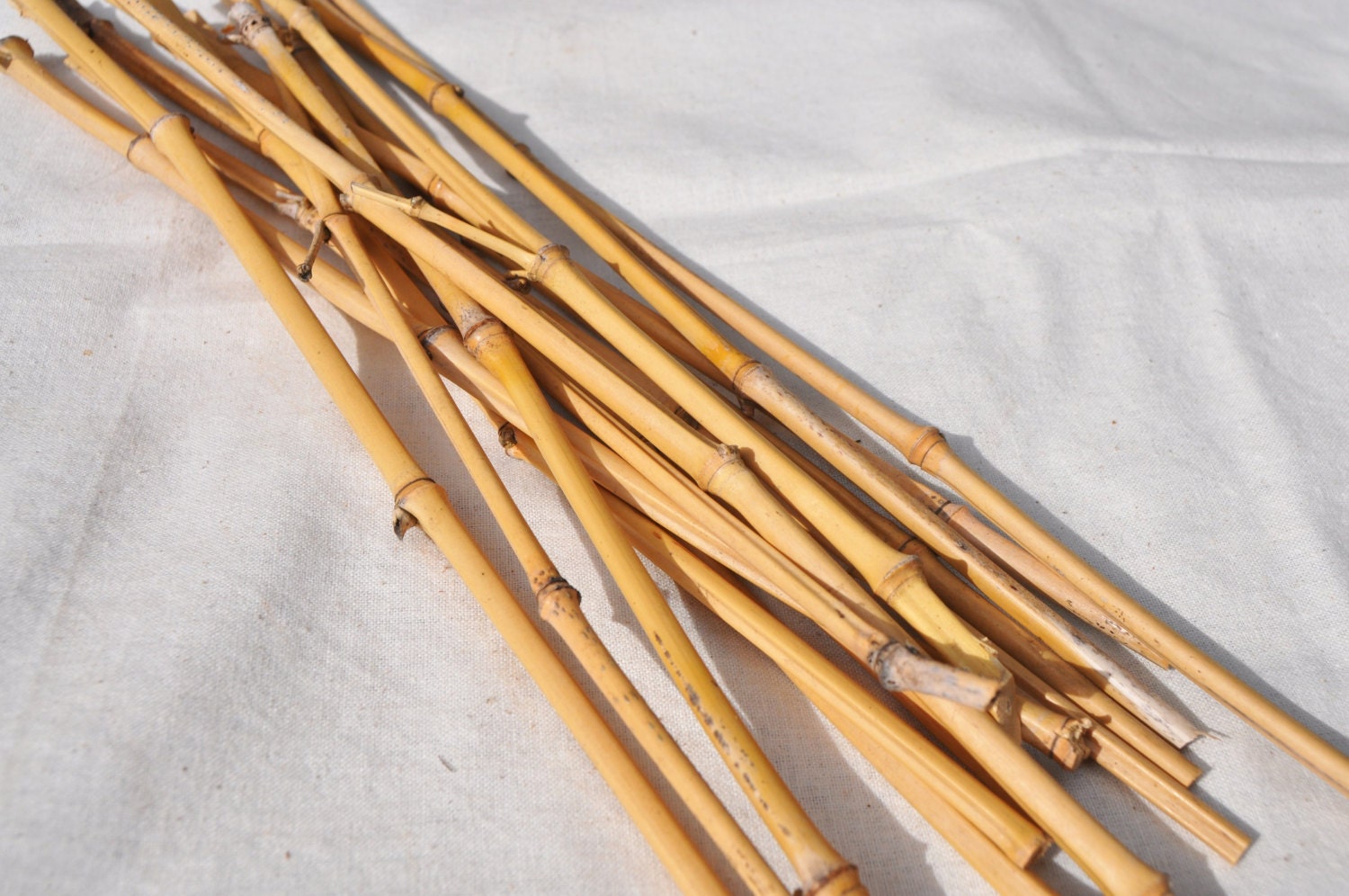 15 Skinny Bamboo Sticks 30 cm 1' long Real Bamboo